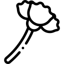f1520555